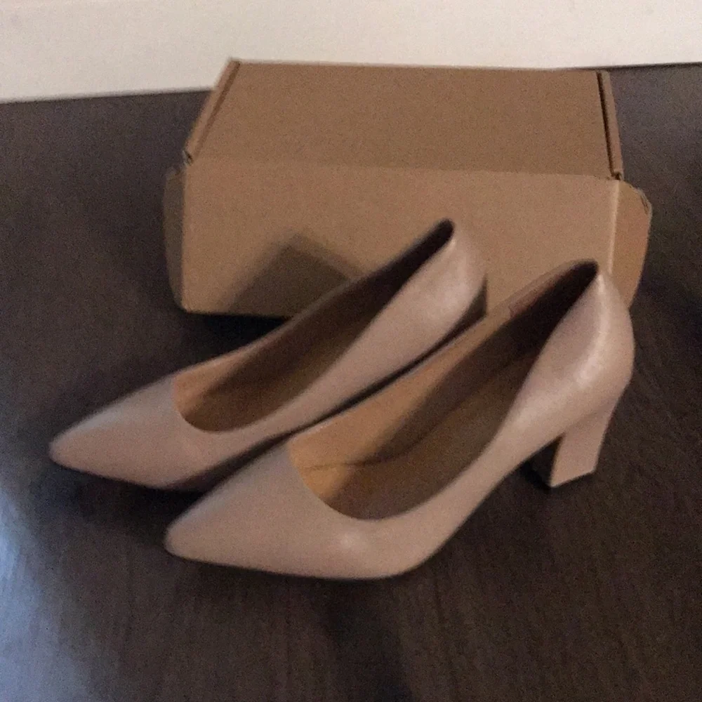 Women's Pointed Toe Block Heel Pumps - Nude